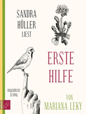 cover image of Erste Hilfe
